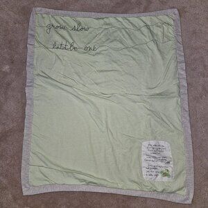 Demdaco Lori Siebert Baby Blanket Grow Slow Little One Turtle Green Gray 30x34